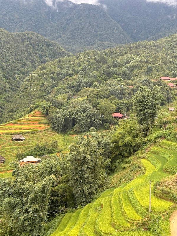 Sin Chai Village - Image 2