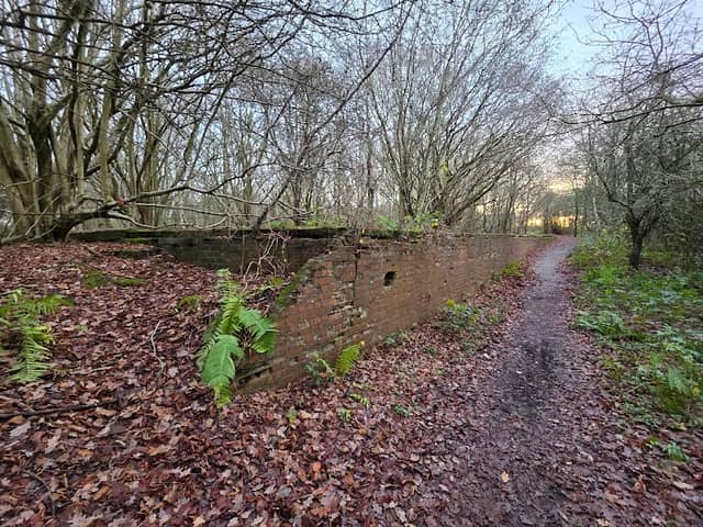 Burlish Top Nature Reserve - Image 1