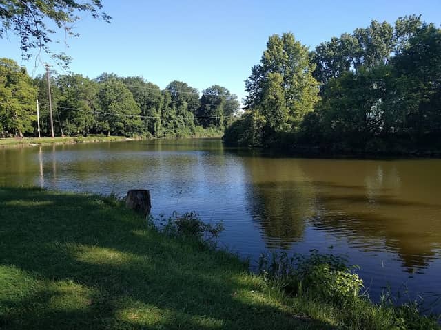 Labo Park - Image 1