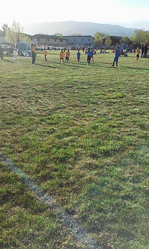 Davidson Park - Image 1