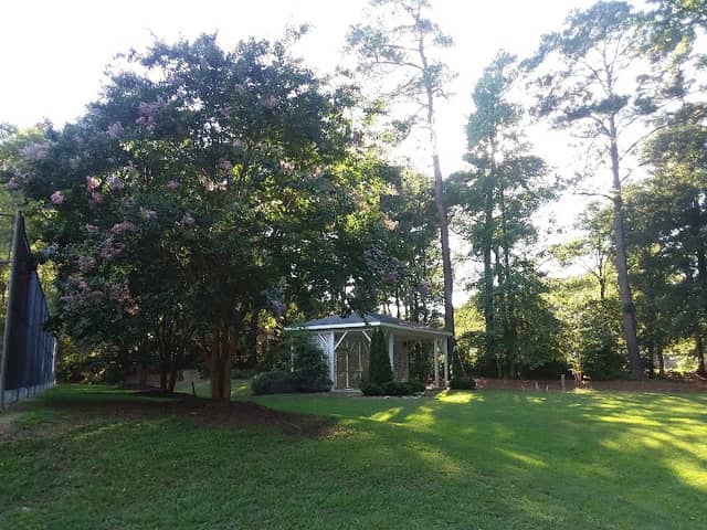 Whitley Park - Image 2