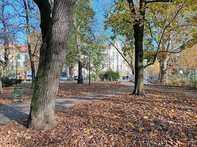 Vodnjak Jedro - Image 1