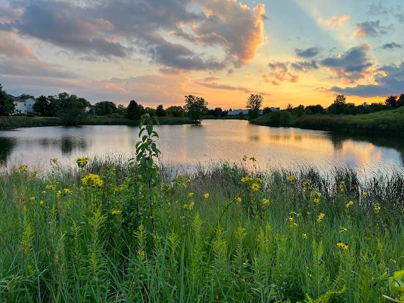 Wildflower Park - Image 1