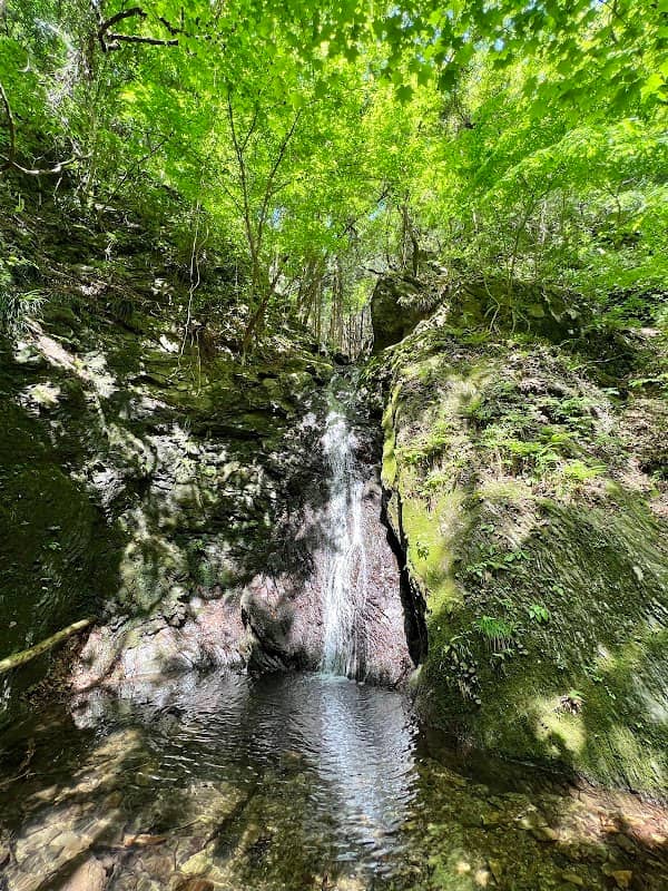 Otaki - Image 1