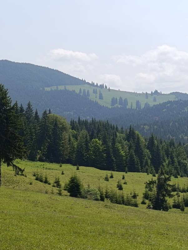 Braniște Mureșeni Bârgăului - Image 1