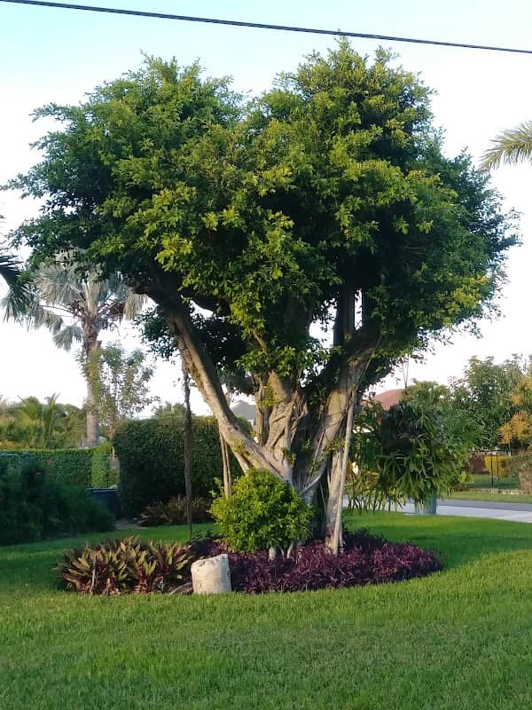 Lake Clarke Shores Community Park - Image 2