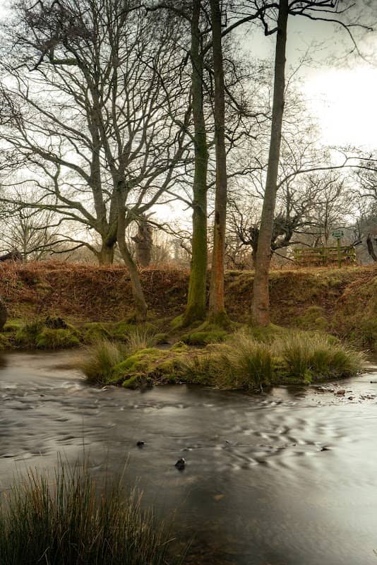 Bradgate park - Image 1