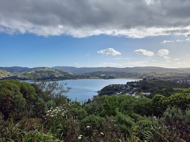 Spinnaker Summit Lookout - Image 2
