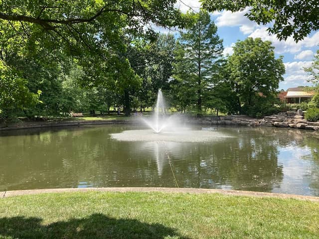 City Centre Park - Image 2