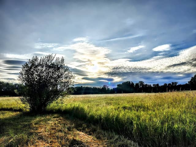 Minto-Brown Island Park - Image 3