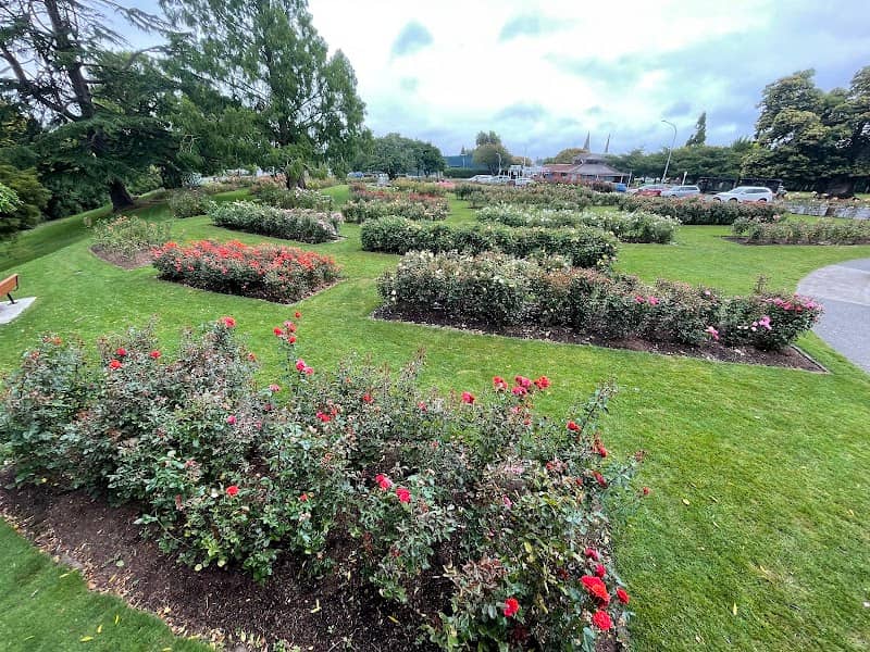 Te Awamutu Rose Garden - Image 1