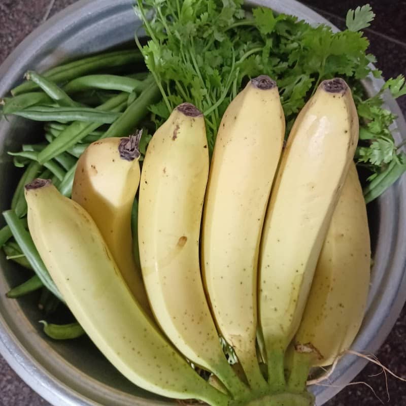 Baby Garden - Image 1