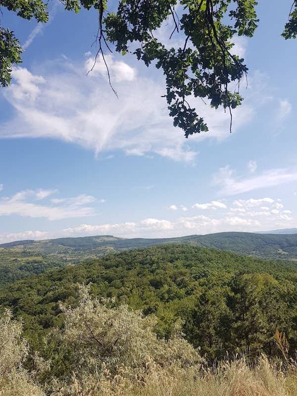 Pădurea Cetatea Fetei - Image 2
