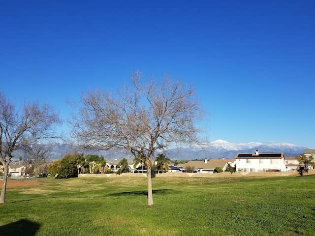 Leonard Bailey Park - Image 2