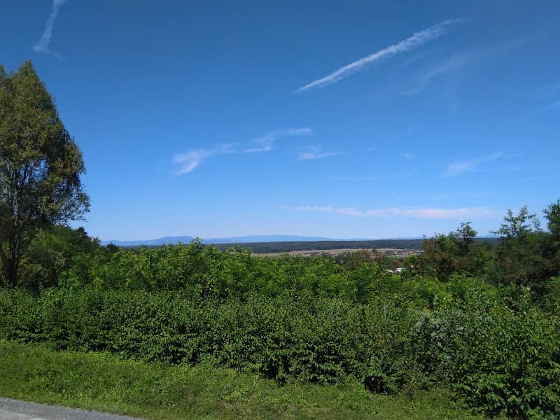 Aussichtswarte "Schwammerl" - Image 1