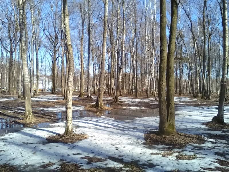 Park Alleya Slavy - Image 2