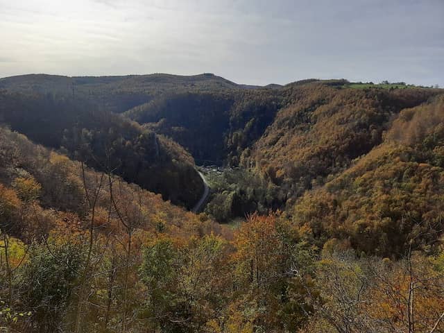 Buckfelsen - Image 1