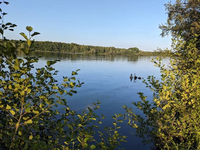 Bluegill Bay County Park - Image 2