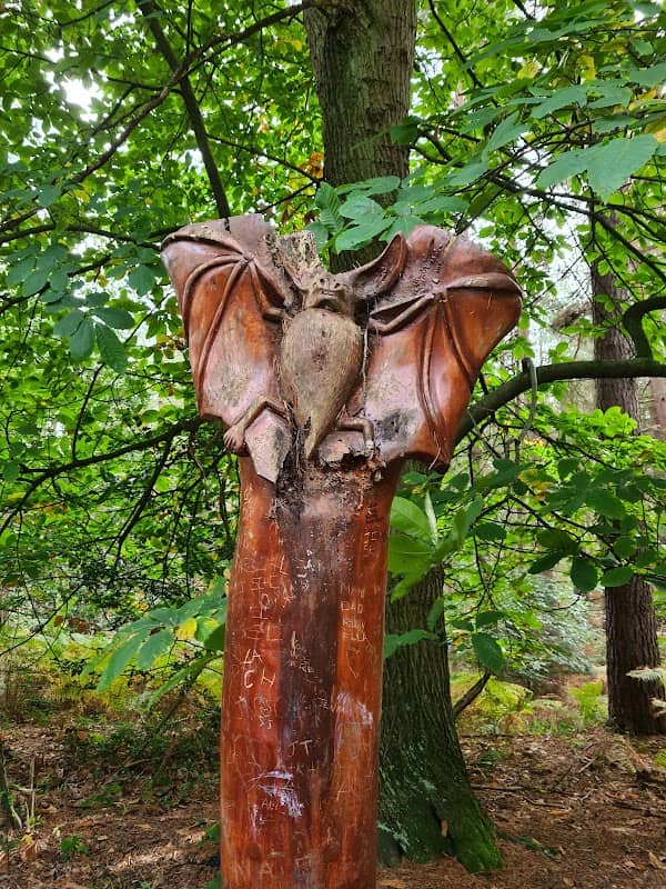 Chopwell Woodland Park - Forestry England - Image 2