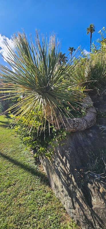 Punto Panoramico - Image 2