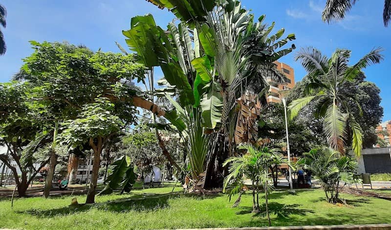 Parque de Las Palmas - Image 2