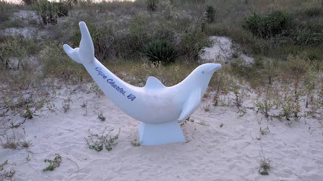 Dolphin figure - Cape Charles - Image 1