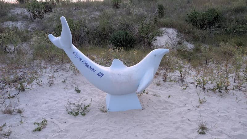 Dolphin figure - Cape Charles - Image 1