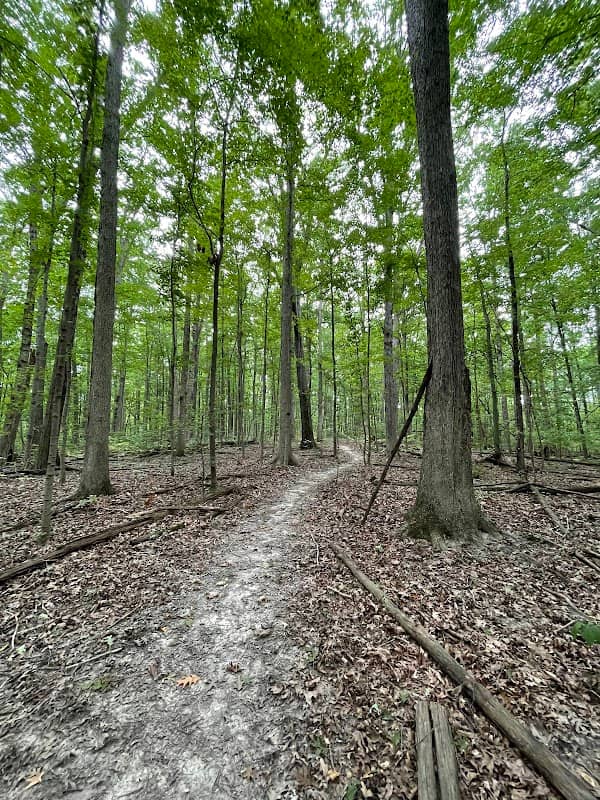 Edward and Elizabeth Leonard Wildlife Preserve - Image 1