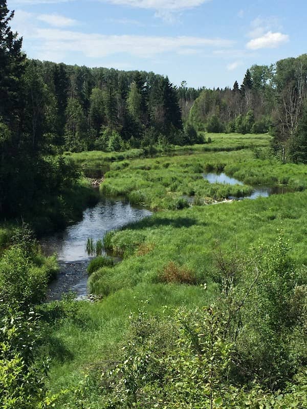 Mud Creek Trail - Image 1