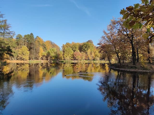 Park Usad'by Arkhangel'skoye-Tyurikovo - Image 1