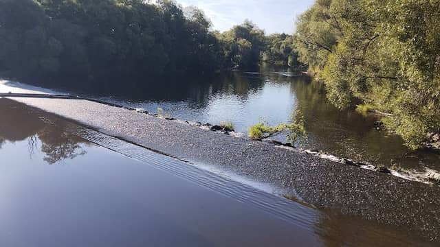 Splav Sedlešovice - Image 1