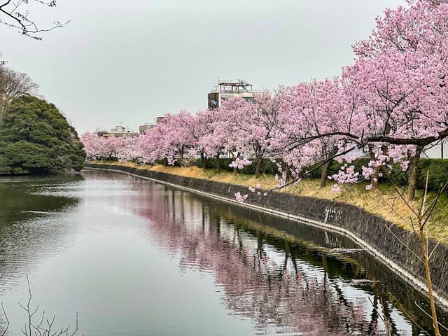 Takaoka Old Castle Park - Image 1