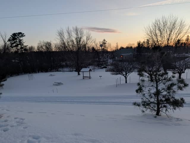 Lions Park - Image 1