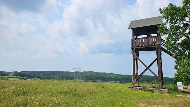 Aussichtsturm Sieben-Seen-Blick - Image 1