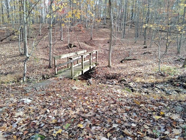 Rolling Ridge Conservancy - Image 1