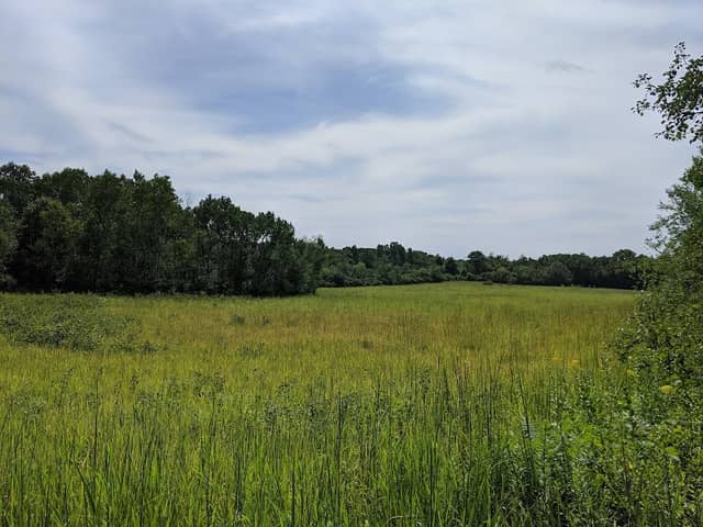 Wetland Loop Trailhead - Image 1