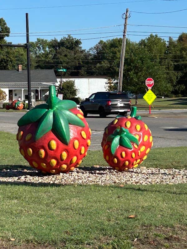 Portland Strawberries - Image 1