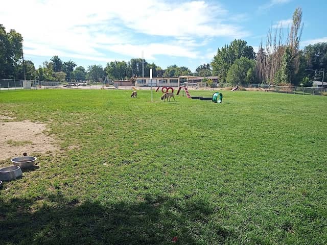 Hanigan Memorial Park - Dog Park - Image 1