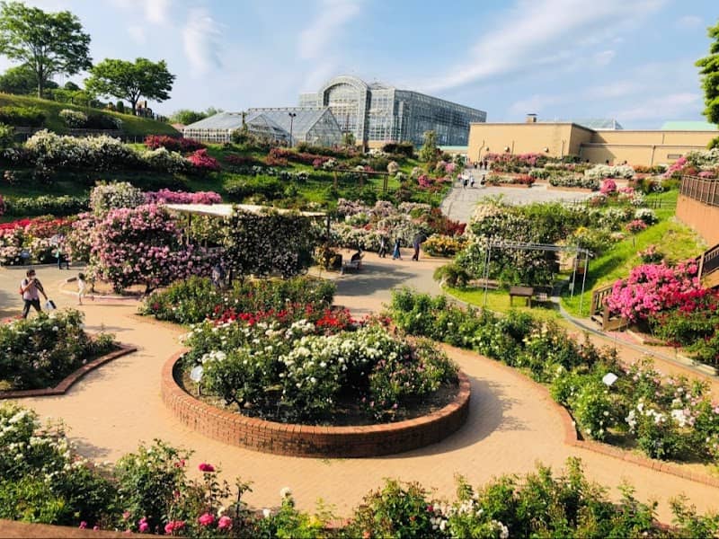 Green Park Rose Garden - Image 1