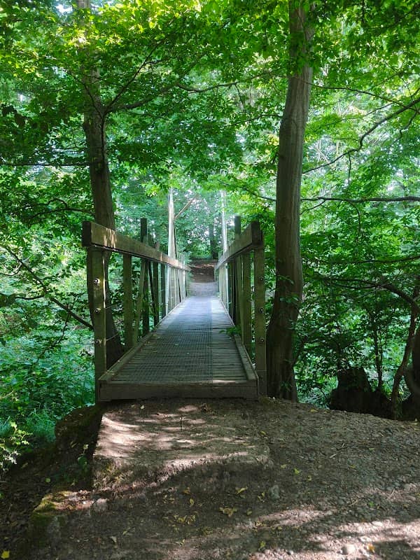 Gobion Woods - Image 2