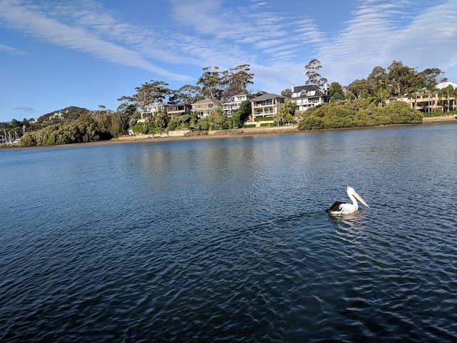 Winji Jimmi Reserve - Image 1