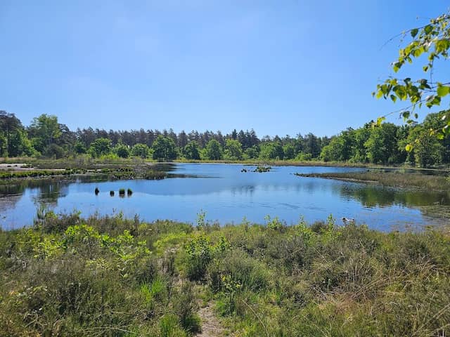 Landgoed Arcen - Image 1
