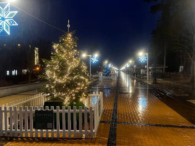 J. Basanavičiaus Street - Image 2