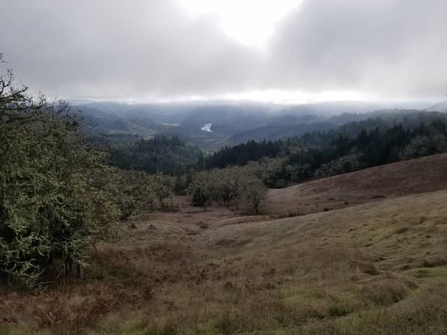 North Bank Habitat Management Area - Image 1