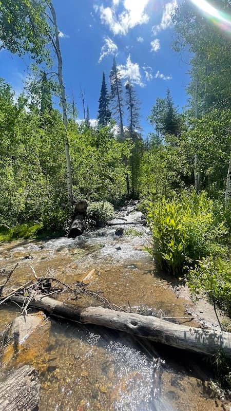 Howell creek - Image 3