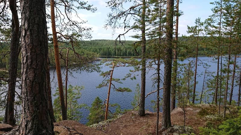 Aarnikotka Nature Reserve - Image 1