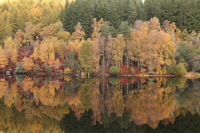 Loch Tummel Autumn View Point - Image 1