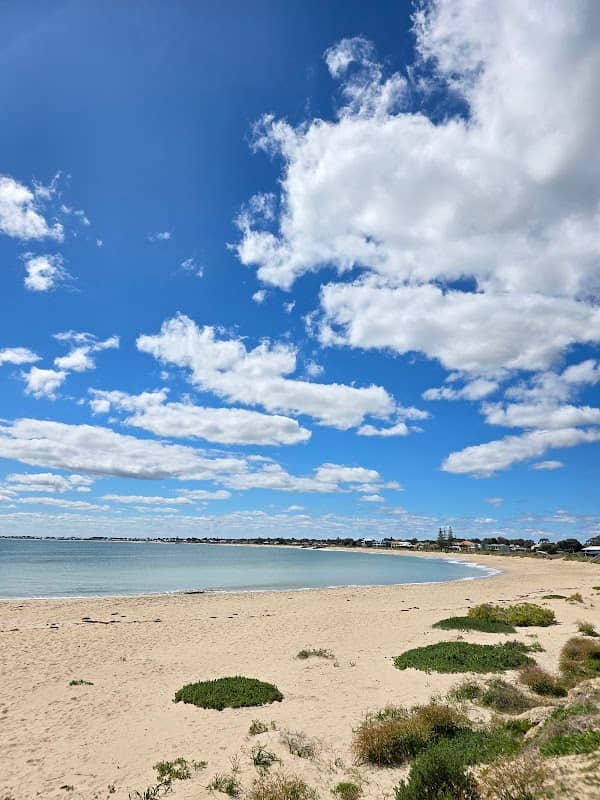 Mandurah Fairy Tern Sanctuary - Image 1