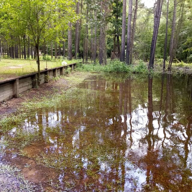 Bay Tree Lake State Natural Area - Image 2