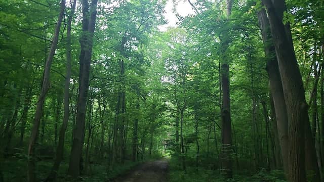 Ruby Green Space - Image 3